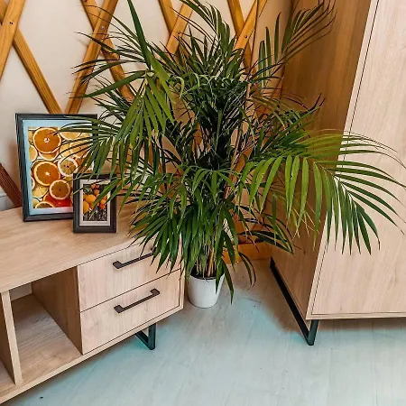 אוהל מפואר Jurty Glamping