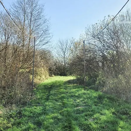 אוהל מפואר Jurty Glamping