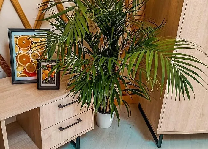 Luksusowy namiot Jurty Glamping