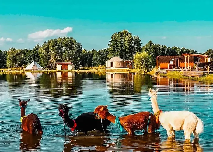 Jurty Glamping Luksusowy namiot Gostynin