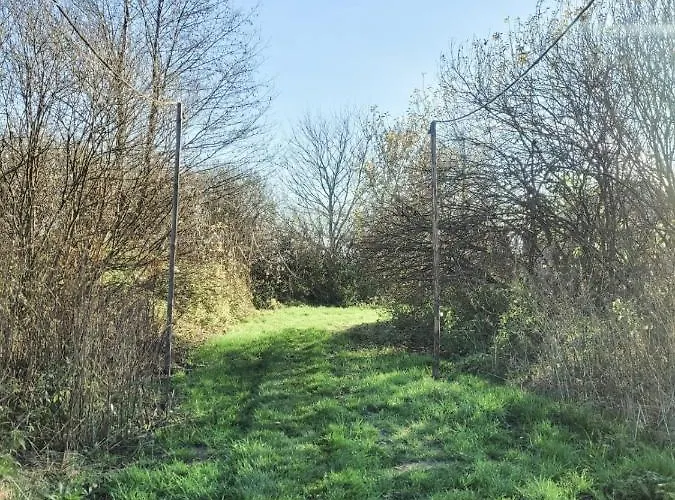 Luksusowy namiot Jurty Glamping