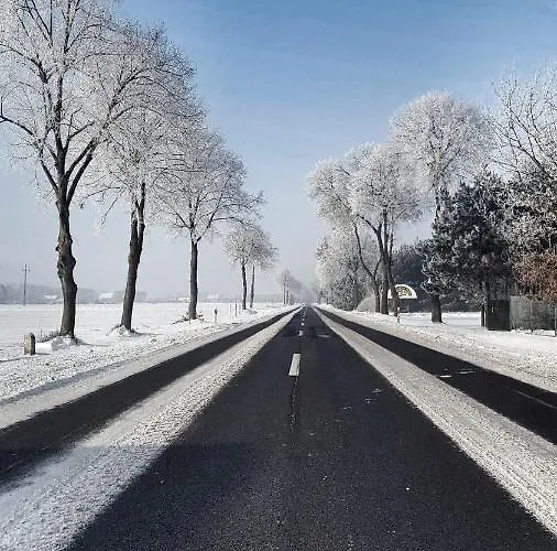 Jurty Glamping Luksusowy namiot