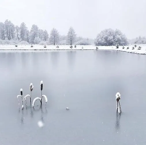 Jurty Glamping Luksusowy namiot